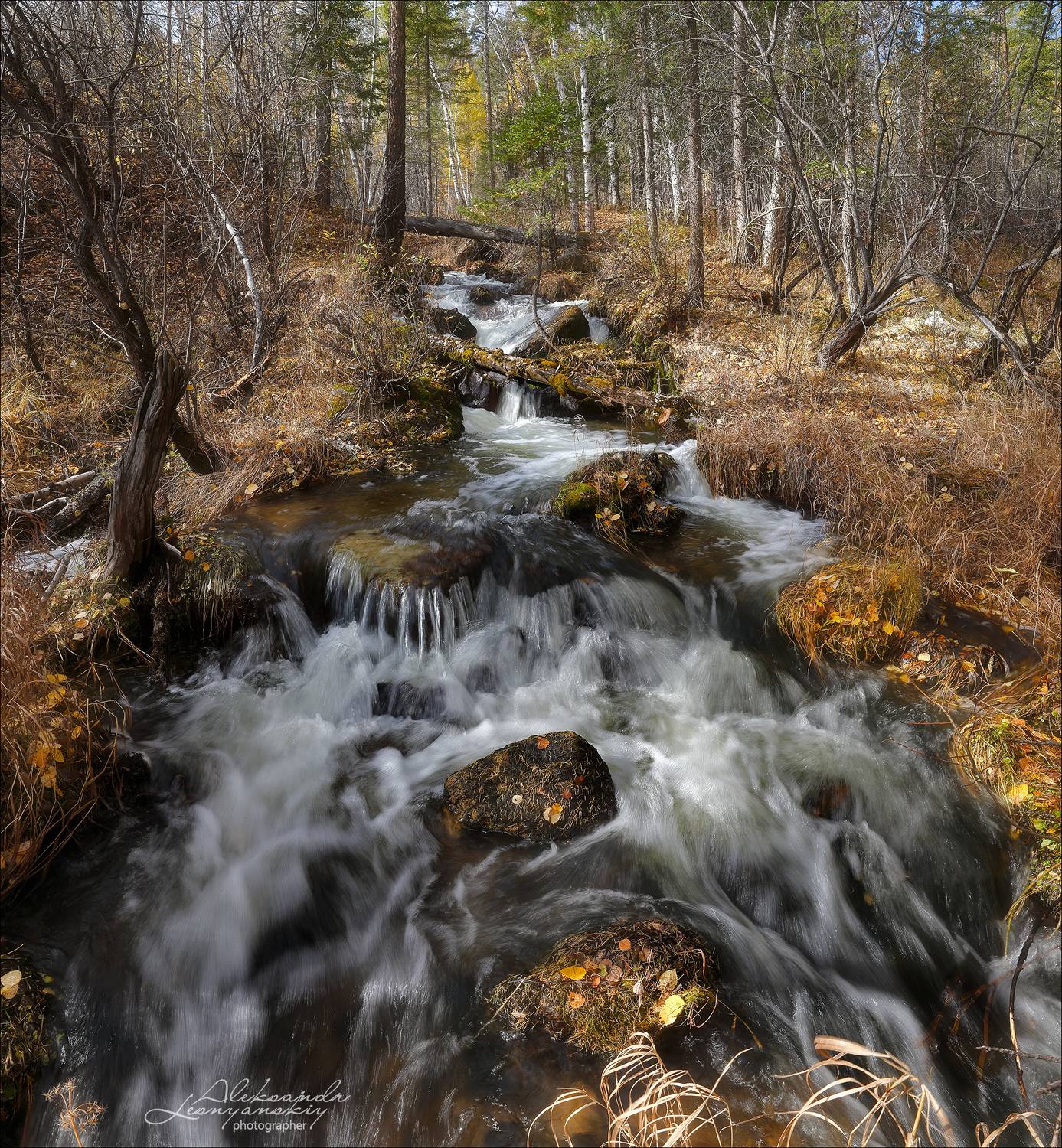 Автор: Александр Леснянский , Александр Леснянский