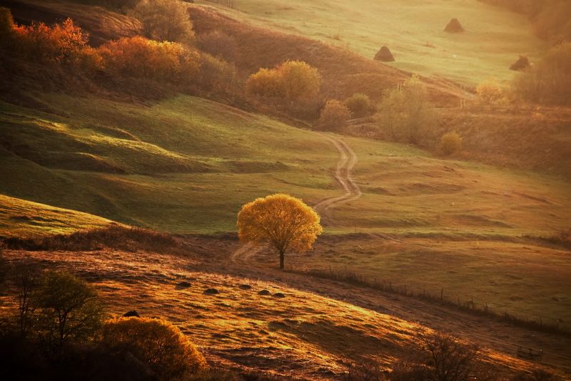 Осеннее настроениеphoto preview