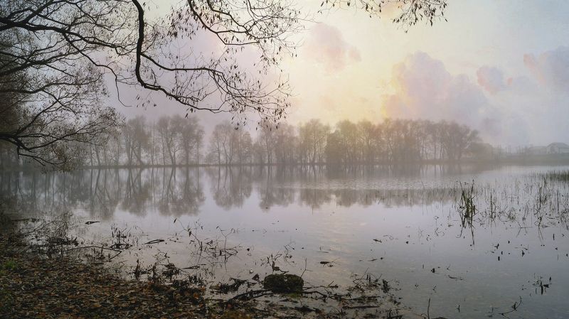 Сиреневый туманphoto preview