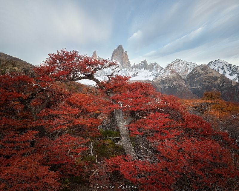 Осень в Патагонии. Фиц Ройphoto preview