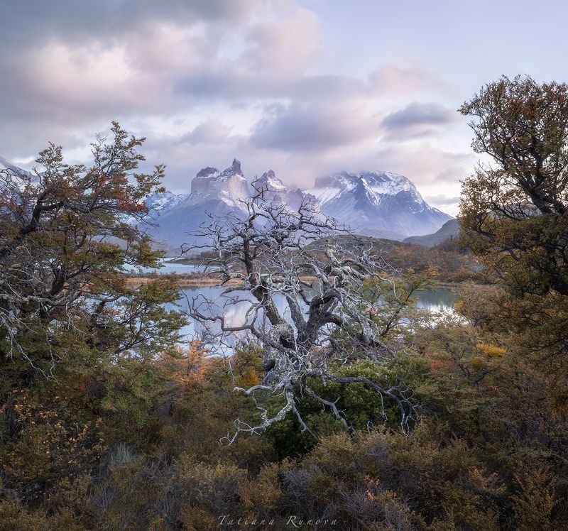 Утро на озере Пехоеphoto preview