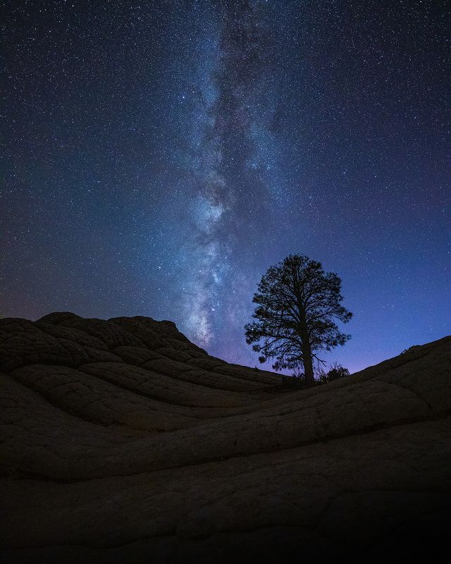 usa, arizona, canyon, travel, roadtrip, landscape, whitepocket White Pocketphoto preview