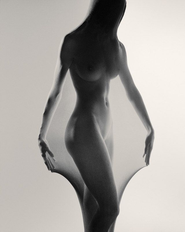 Dementrophoto preview