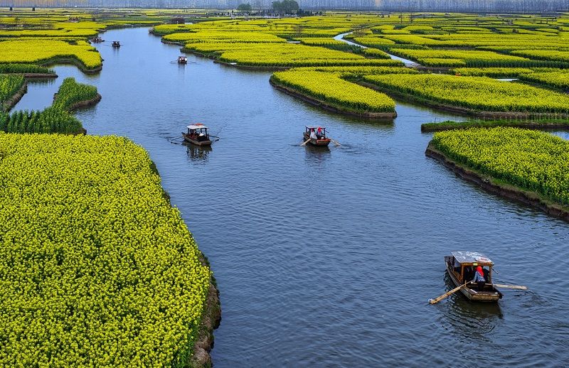 landscapes Весна в водном городке Цзяннань приходит раноphoto preview