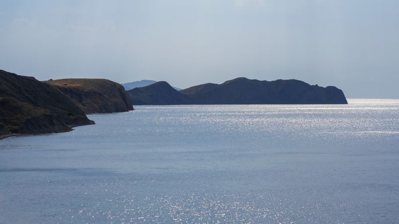 Хамелеон.photo preview