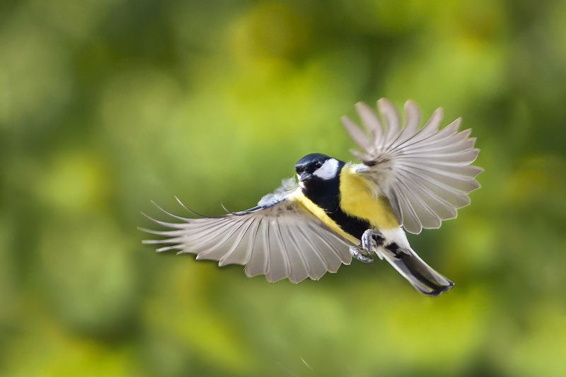 Солнечноеphoto preview