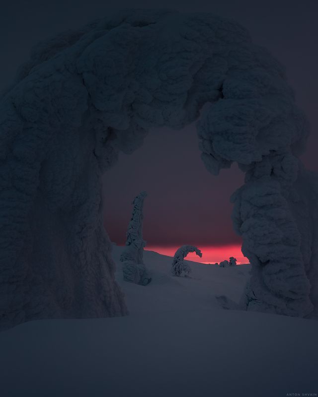 Гиганты тоже спят...photo preview