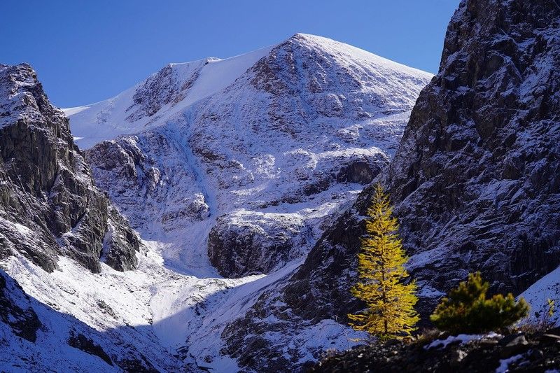 Актру, горы, Алтай, Сибирь, Россия Малый Актруphoto preview