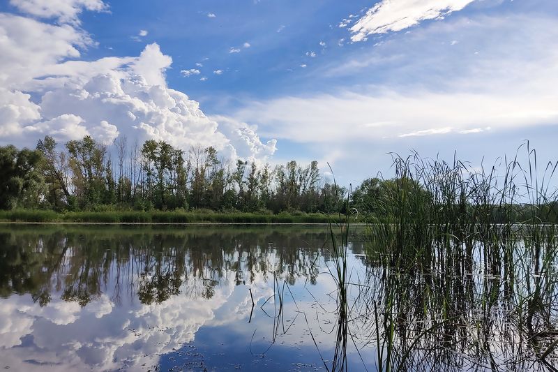 Жара Июльphoto preview