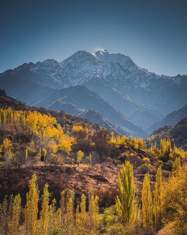 узбекистан, чимган, uzbekistan, chimgan Б. Чимганphoto preview