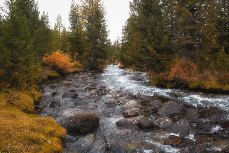 landscape, autumn, altay, river, green, yellow, outdoor ***photo preview
