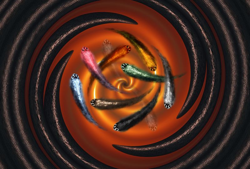 creative, креатив, манипуляция, концепция, цифровое, искусство, безумие, digital, art, insane, crazy, chaos Котёл безумия. Тьма сгущалась...photo preview