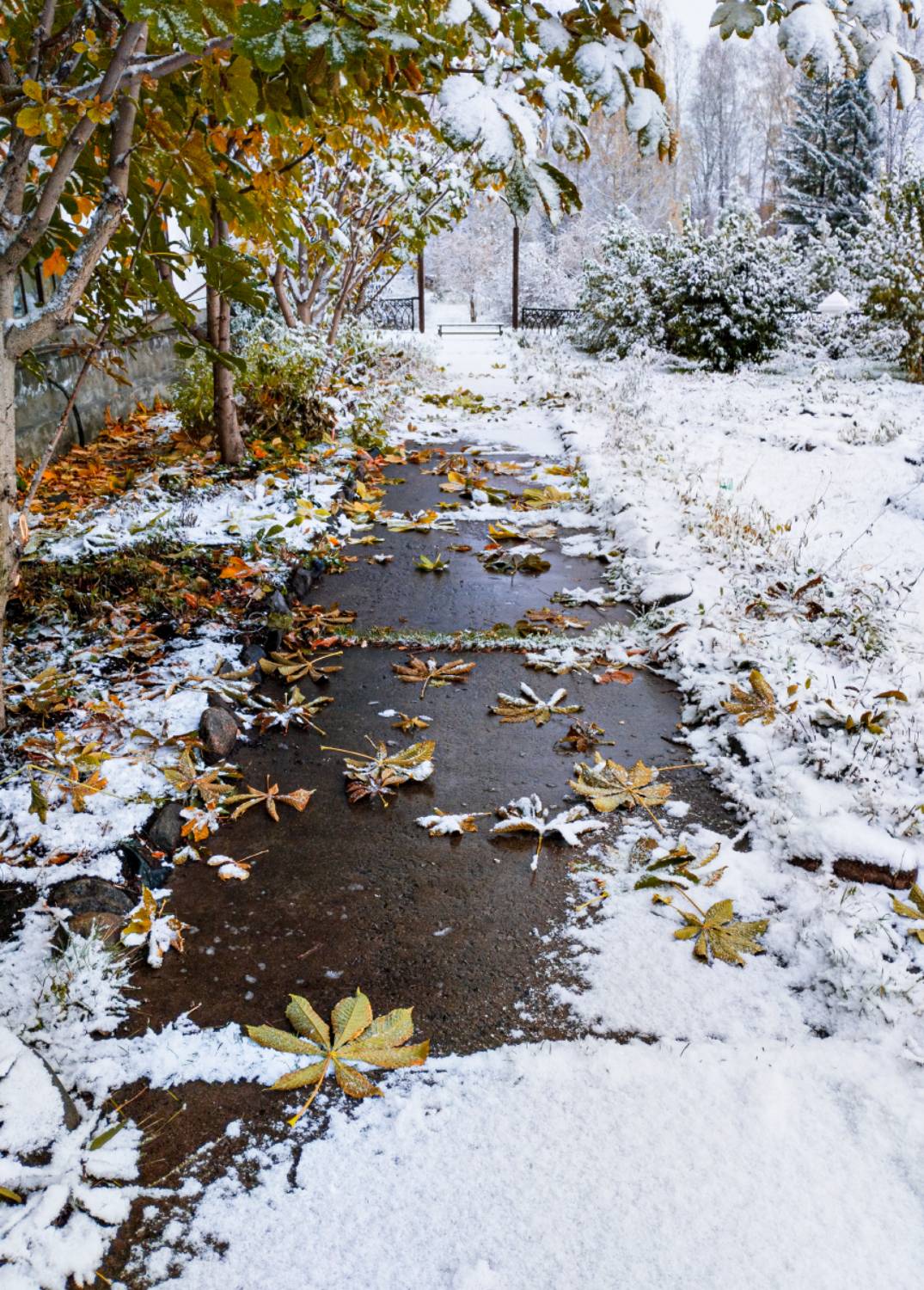 Первый снег.. Автор: Марина Никулина , Марина Никулина