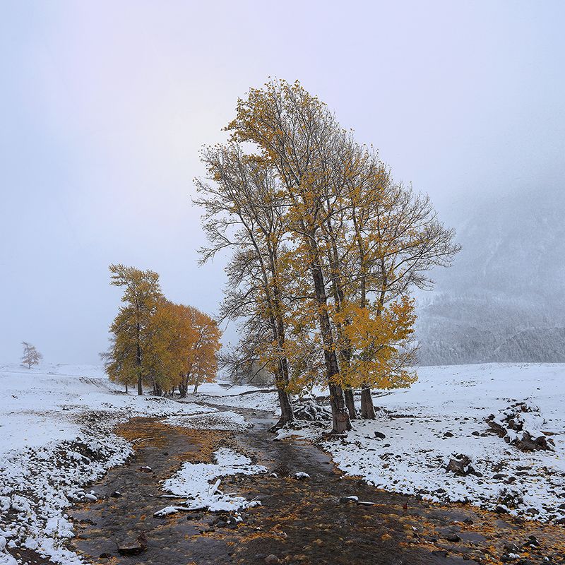 Сентябрьская метель фото превью