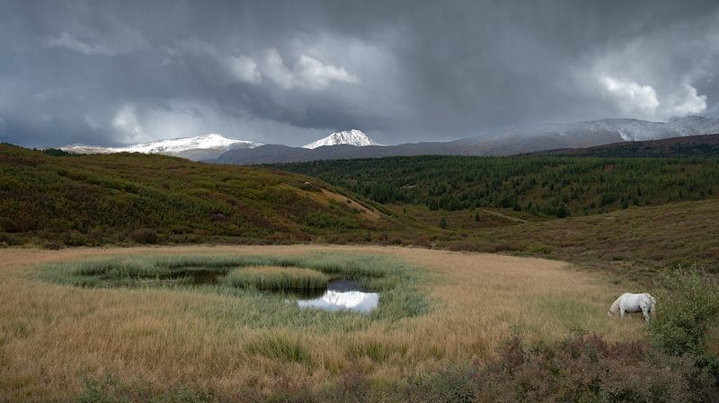 Горный Алтай ...photo preview