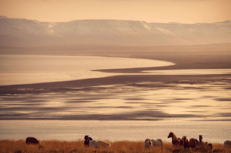 Iceland фото превью