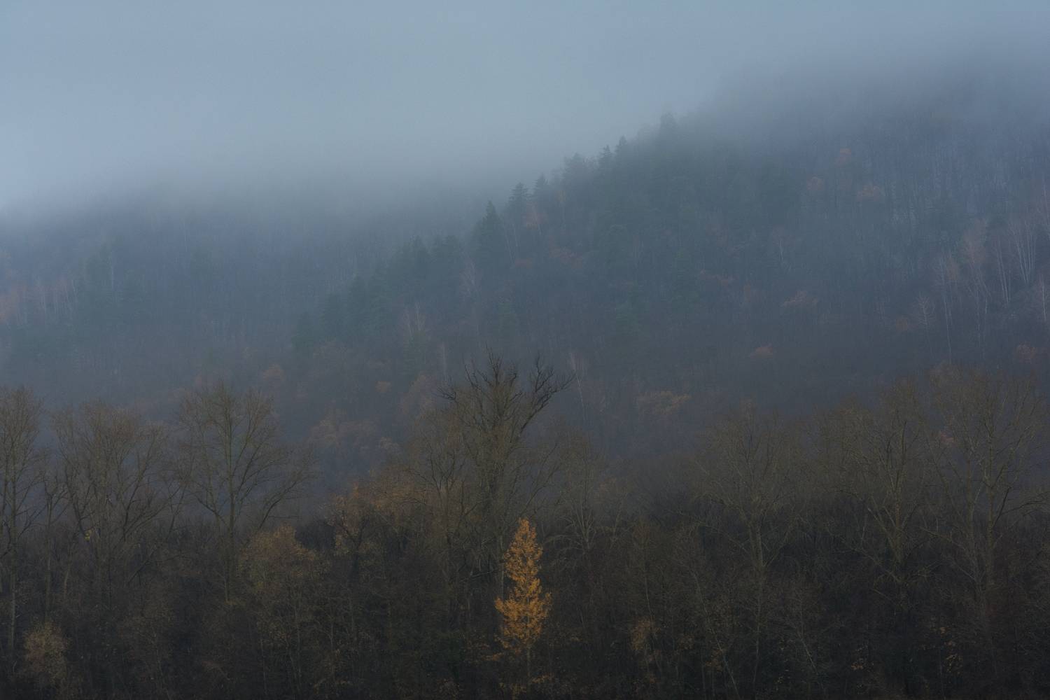 Автор: Алексей Проняхин , Алексей Проняхин