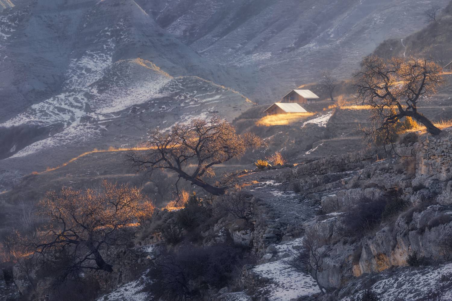 Про огоньки на деревьях. Автор: Шишкин Дмитрий Дагестан Салта Гунибский район зима, Шишкин Дмитрий
