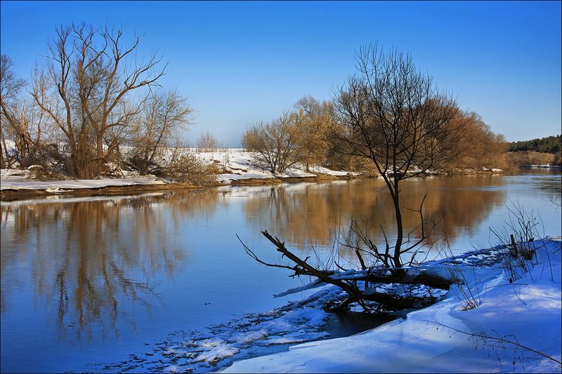 москва-река, звенигород Берега.... фото превью