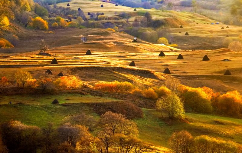 Осеньphoto preview