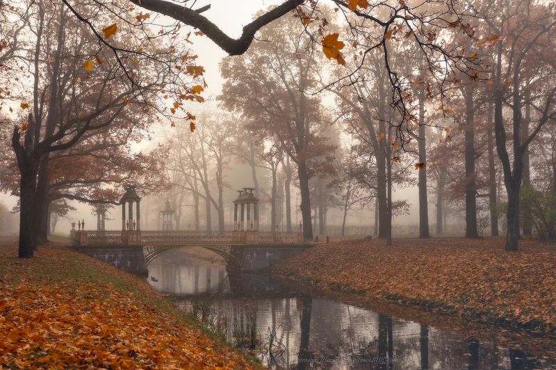 питер, пушкин, царскоесело, царское, пейзаж,  landscape,  autumn, санкт-петербург, александровский парк Туманы октябряphoto preview