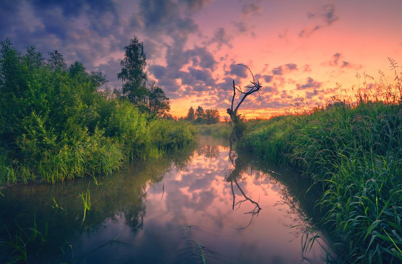 Страж речного переката ... фото превью