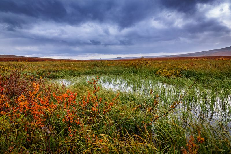 * * * фото превью