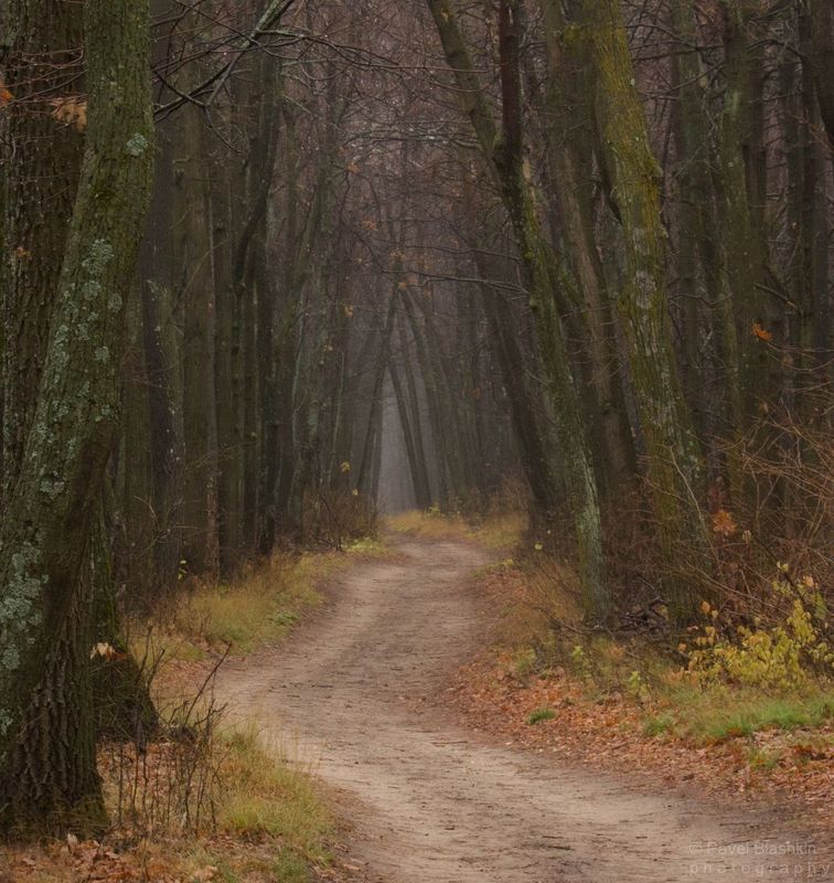 Поздняя осень фото превью