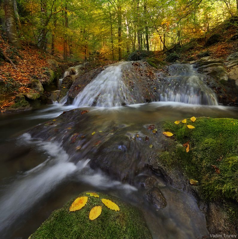 крым, хапхальское ущелье В Хапхальском ущелье фото превью