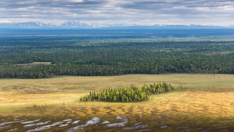 Приполярный Уралphoto preview