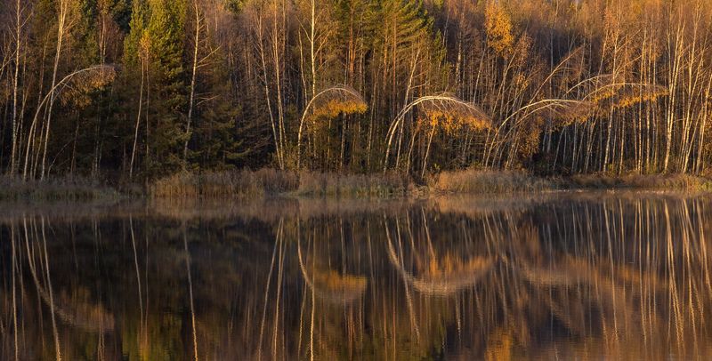 серково утро иней октябрь чёрная порза Станция метро \