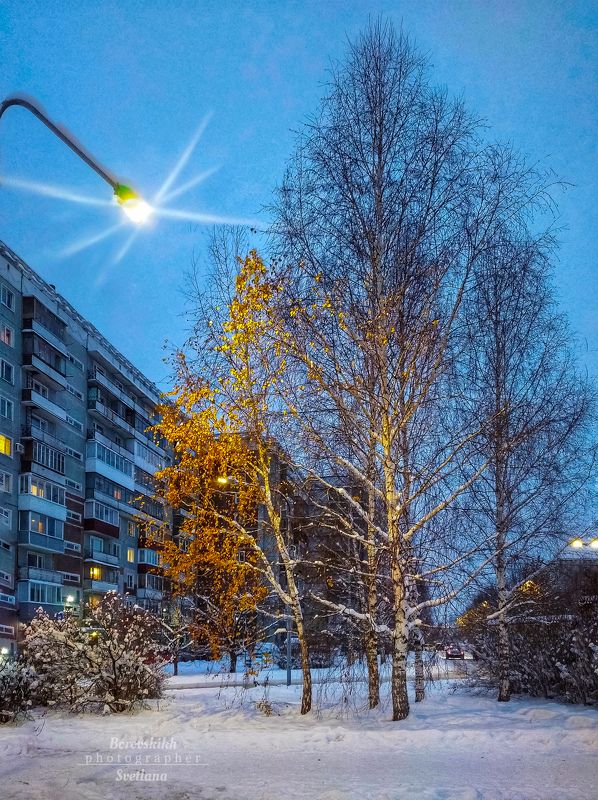 пейзаж, природа, осень, снег, strit photo Соперницыphoto preview