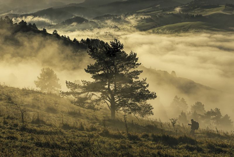 O porankuphoto preview