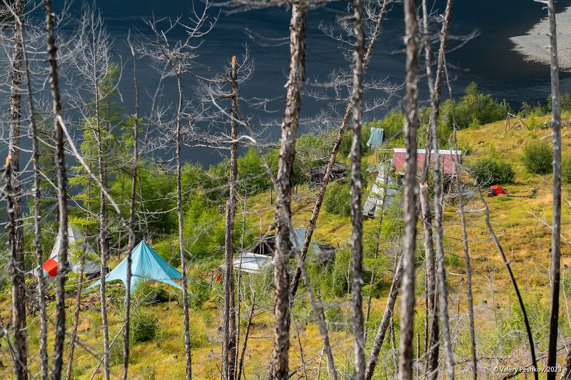 база, кордон, владимир коваль, курейка, яктали, плато путораны, багульник, иван-чай Pro досуг фотографа - кордон Владимира Коваляphoto preview