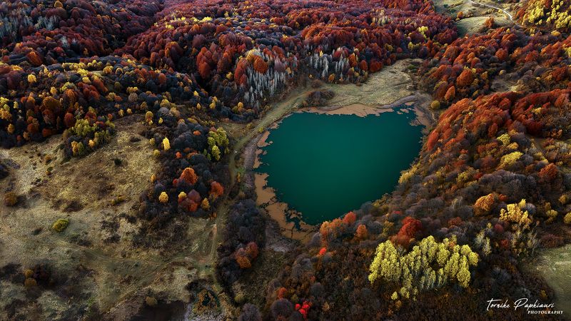 landscape, georgia, tree, autumn AUTUMN IN RACHAphoto preview
