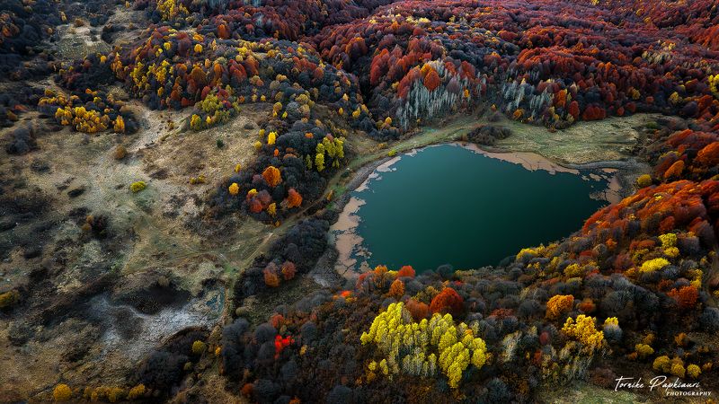 llandscape, georgia, tree, autumn AUTUMN IN RACHAphoto preview