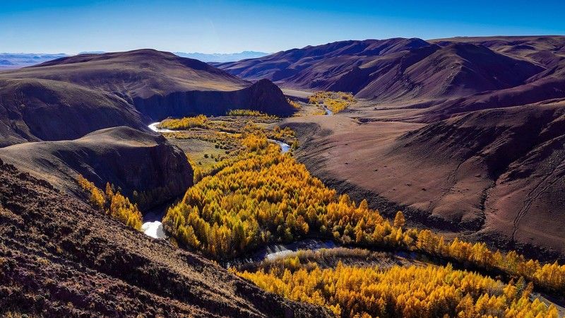 Алтай, Сибирь, Россия желтая рекаphoto preview