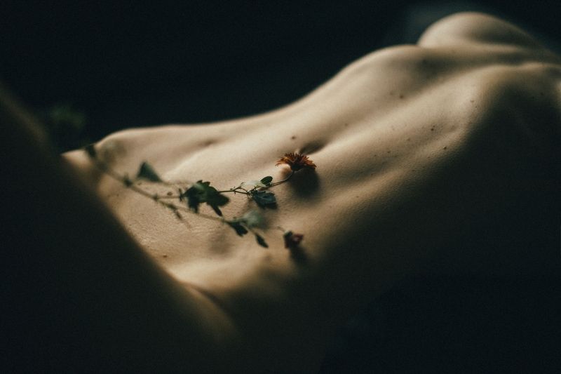 art, nude, naked, madel, female, body, beautiful, sensual, sensuality, belly, flower, minimal, bodyscape, * * * фото превью