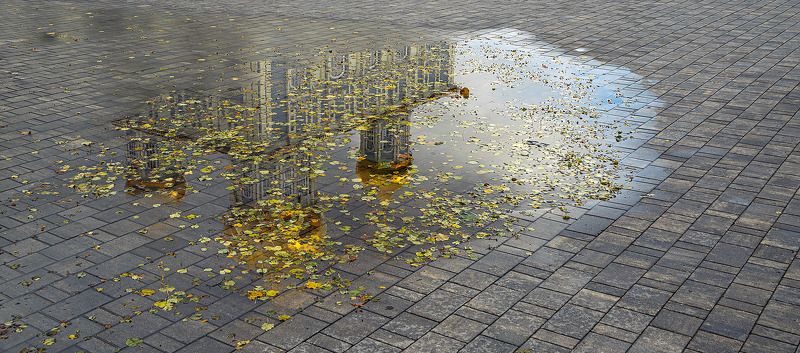 Осенние зарисовки.photo preview