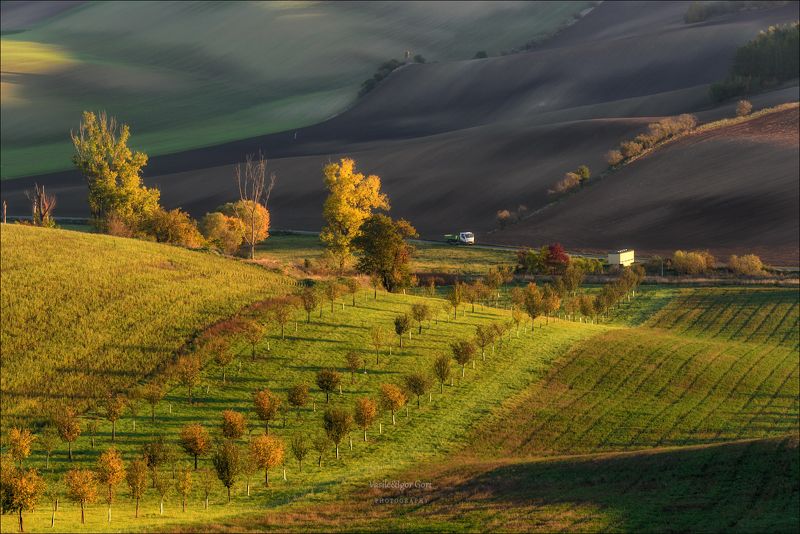 южная моравия,пейзаж,линии,south moravian,lines,свет,czech,осень,чехия,landscapes, Навстречу новому дню фото превью