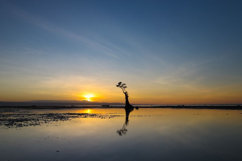 #walakiribeach #sumbaisland #sumba #mangrove #sunset #alone  Alonephoto preview