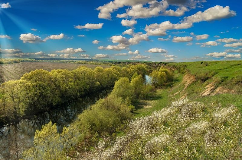река кшень, весна, май, Река Кшень фото превью