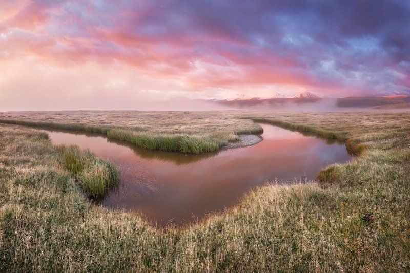 Алтай, Укок * * *photo preview