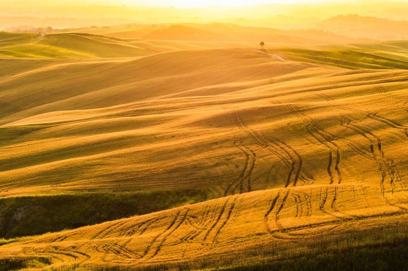 Toscanaphoto preview