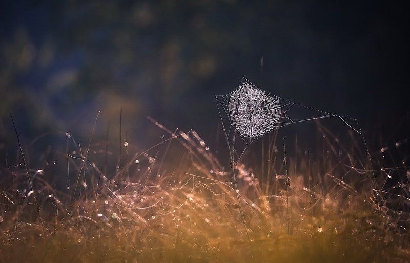 Осень скоро.photo preview