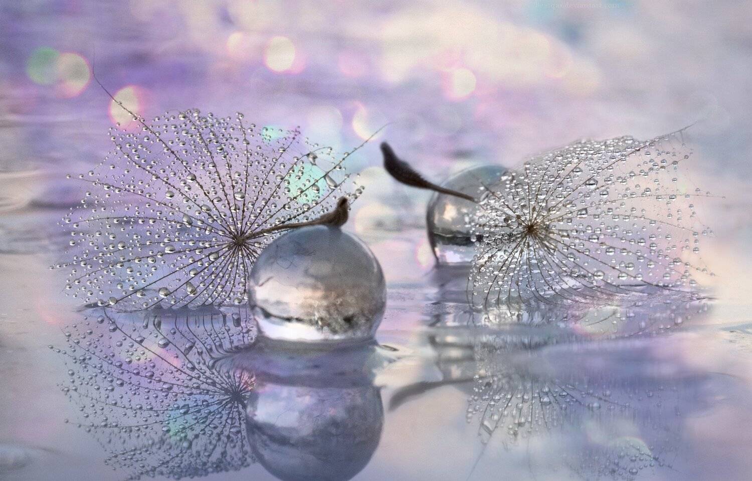 Мы с тобой. Автор: Таня Маркова , Таня Маркова