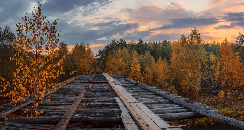 А раньше здесь ходили мотовозы...photo preview