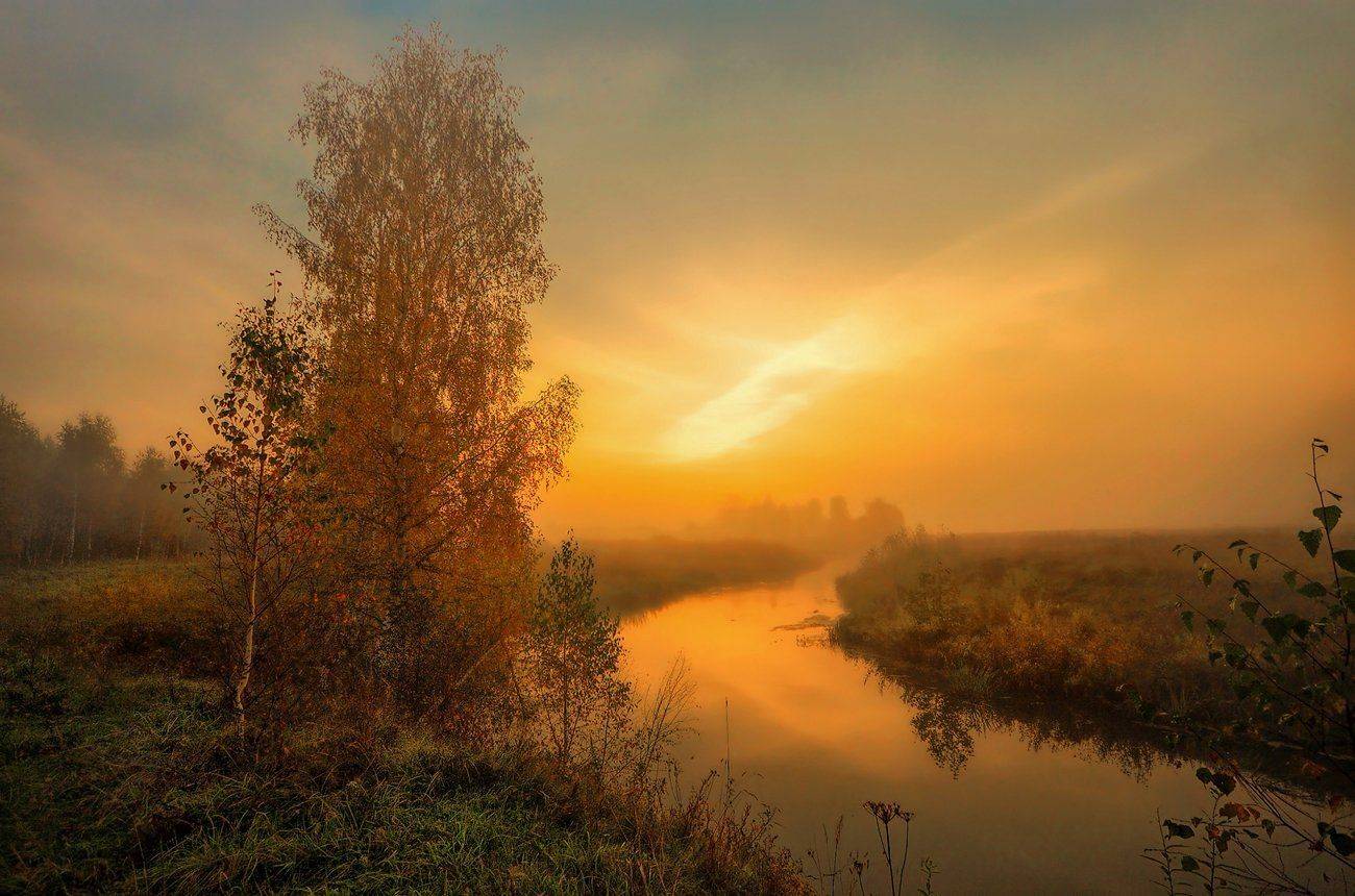 , Сергей (Bekr)