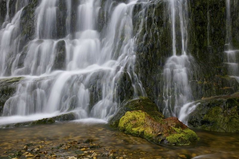 Командорский крокодил. Водопады Командор 1photo preview