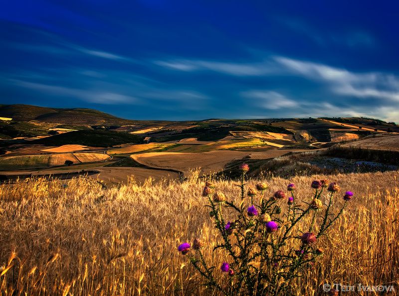 Landscape,  photo preview